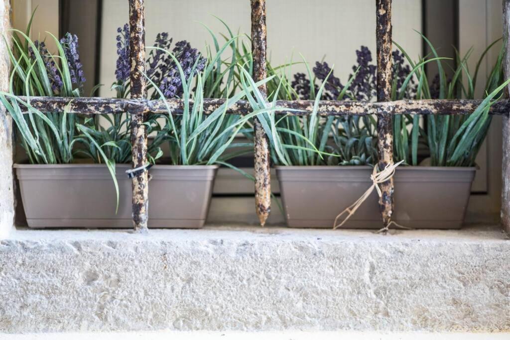 Paravento Lux Studio Apartment Corfu  Exterior foto